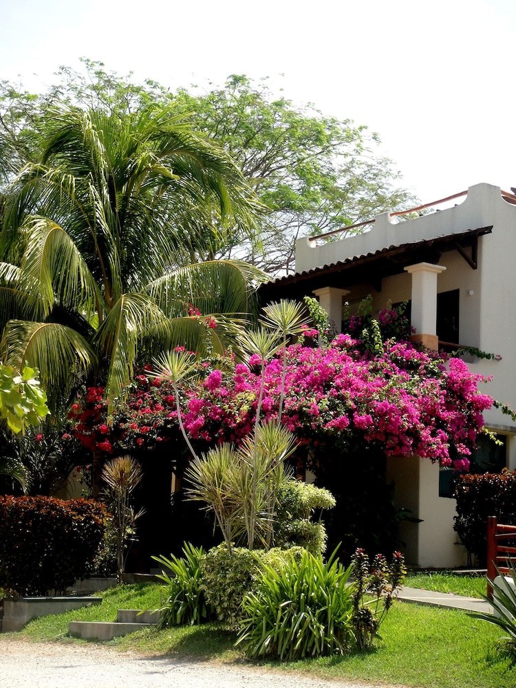 Tropical Gardens