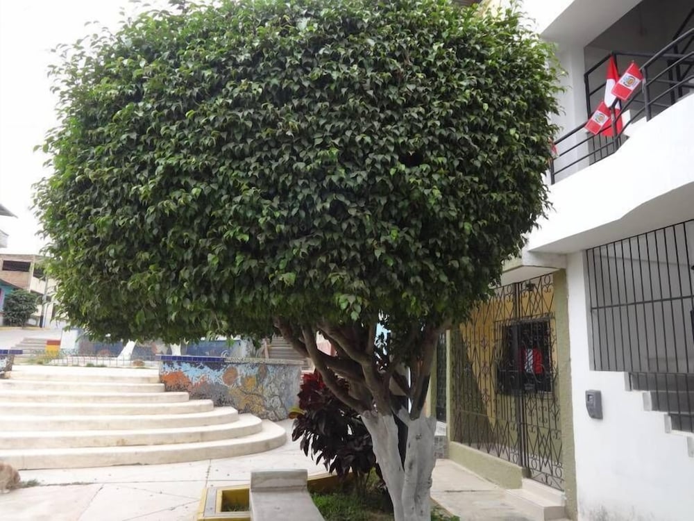 Photo 18