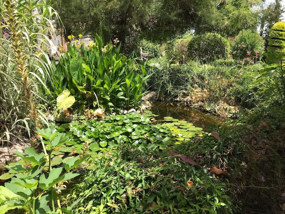 B&B Cortijo Andaluz