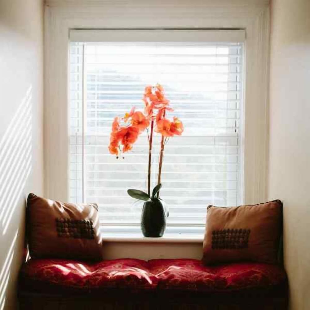 Chestnut Street Inn B&B