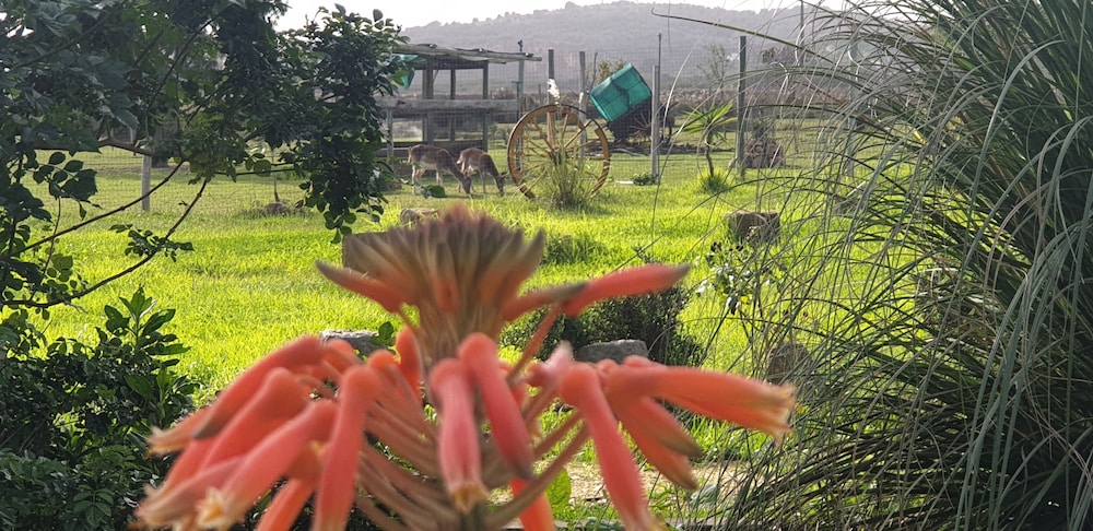Quinta das Origens view 3