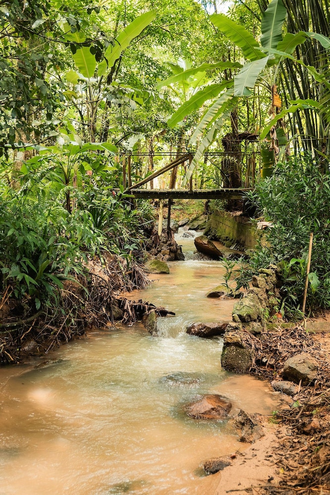 Sitio Cantinho Vovó Cida e Vovô Nilson