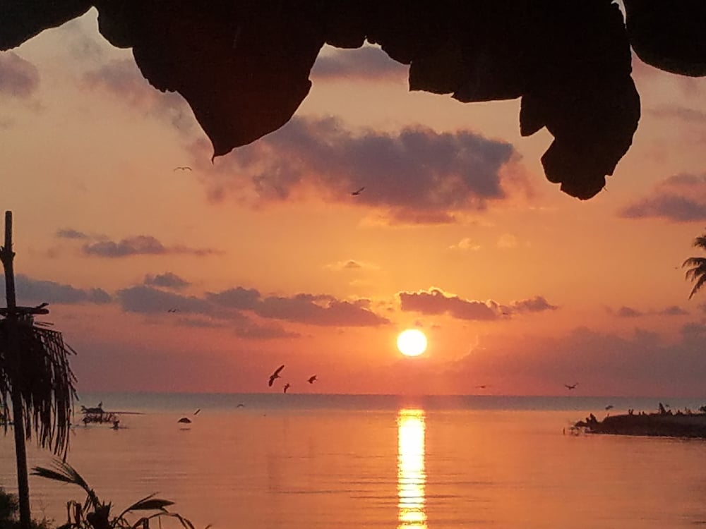 Belize Vacations - Pal's on the Beach - A Gold Standard Hotel - Property Image 34