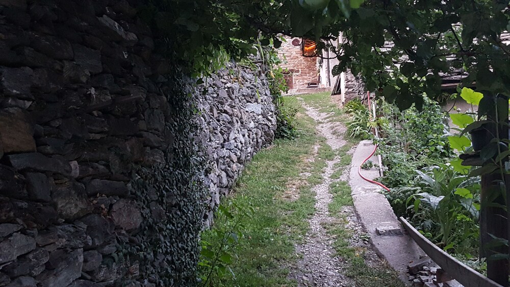 Photo 42