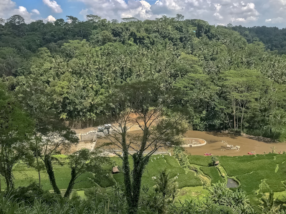 Puri Bunga Resort & Spa view 5