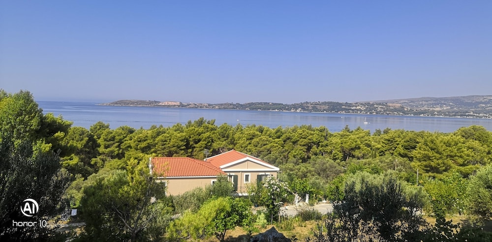 Seapine Studios