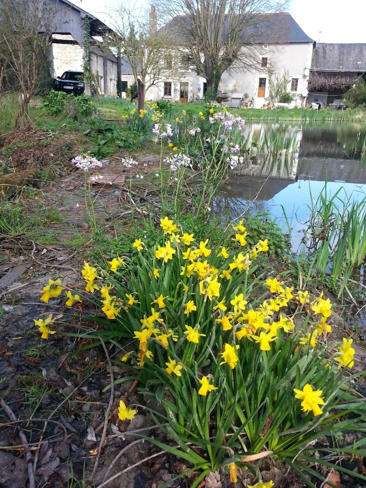La clé des jardins