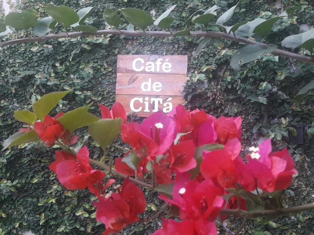Casa Citá