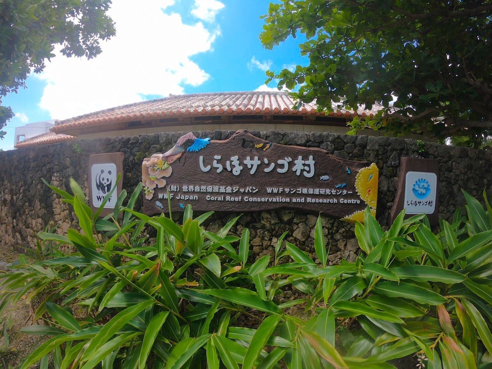 guest house Holoholo beach side - Hostel