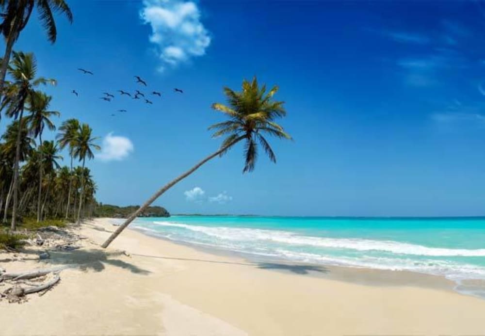 Ukunda Vacations - Mangro Hotel Diani Beach - Property Image 2