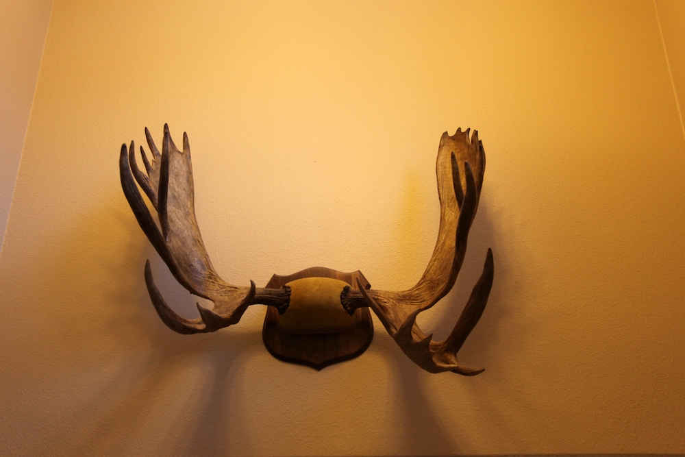 Alaska Haven - Property Image 14