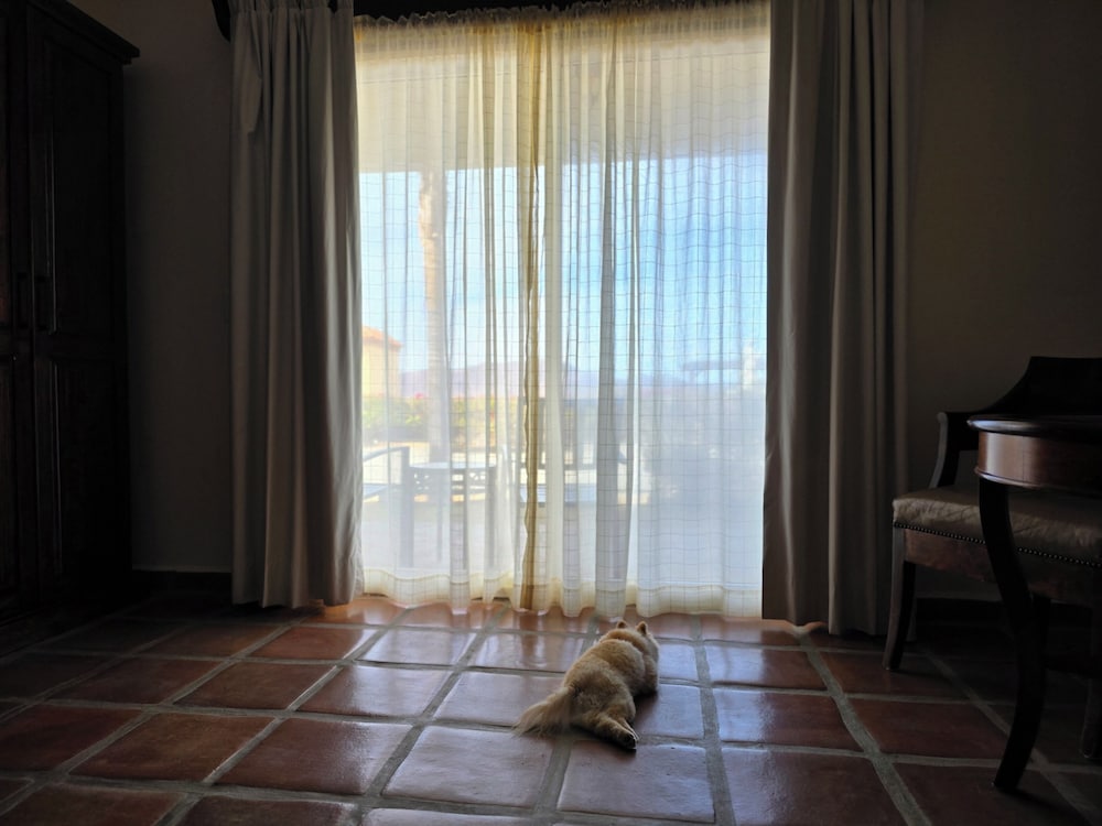 Hotel Hacienda Guadalupe