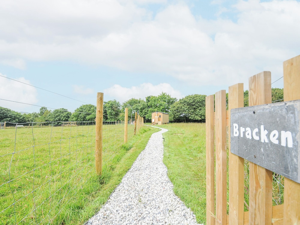 Bracken