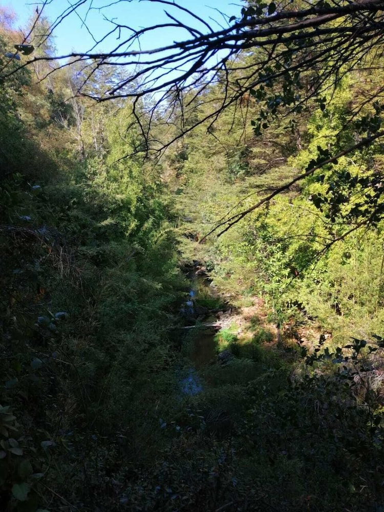 Photo 27
