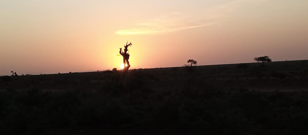 Amanya Moon Star Bed Amboseli National Park view 4