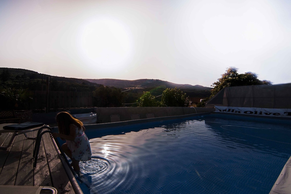 Villa Olive Tree