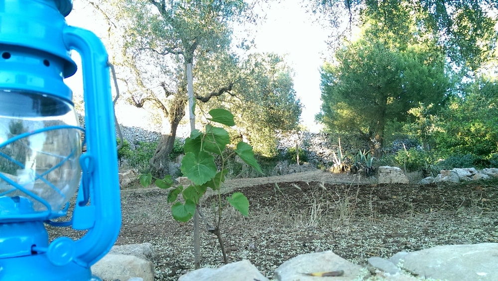 Vivere Ostuni
