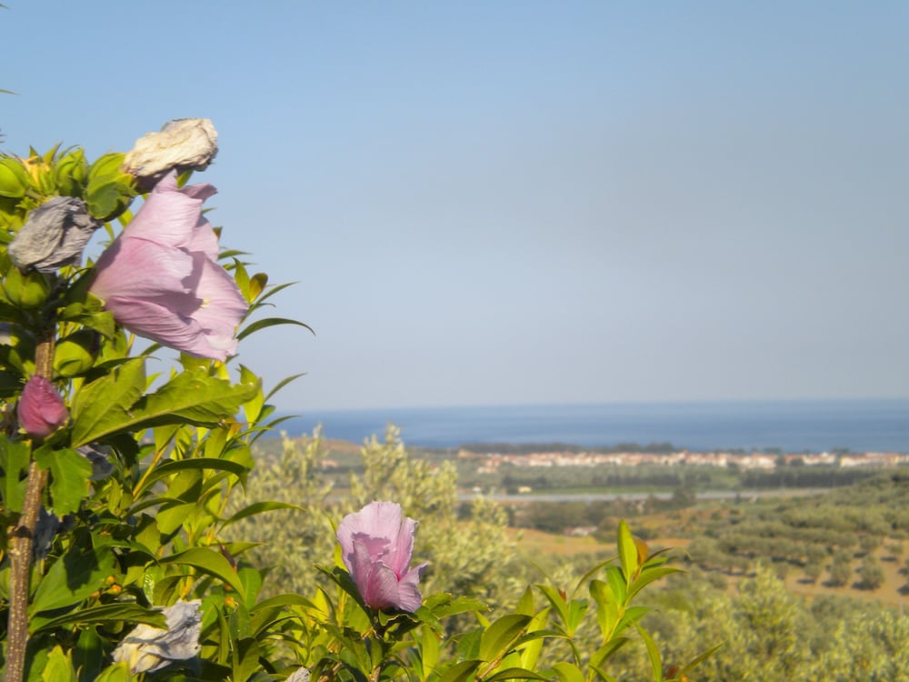 Tenuta Castellesi