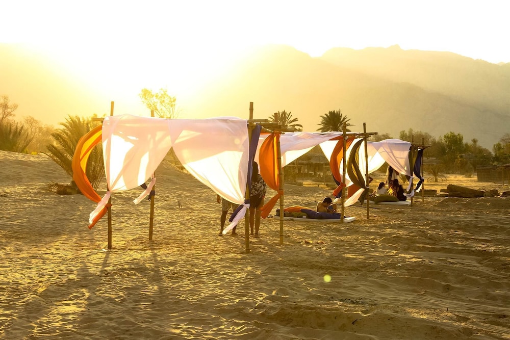 Ayla Camp