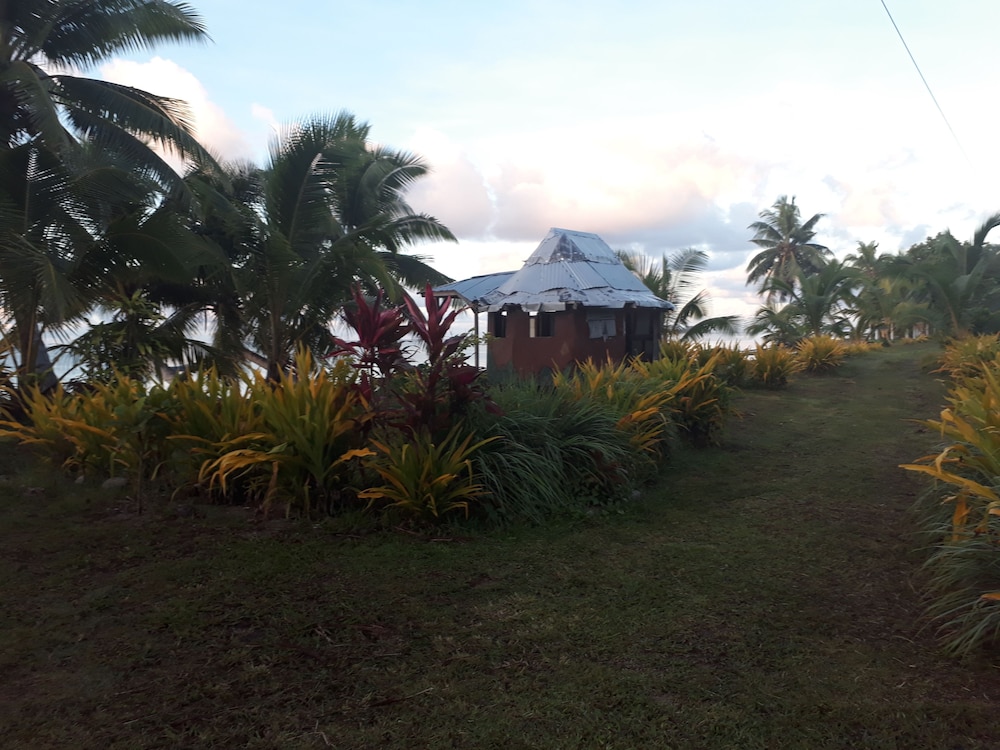 Photo 6