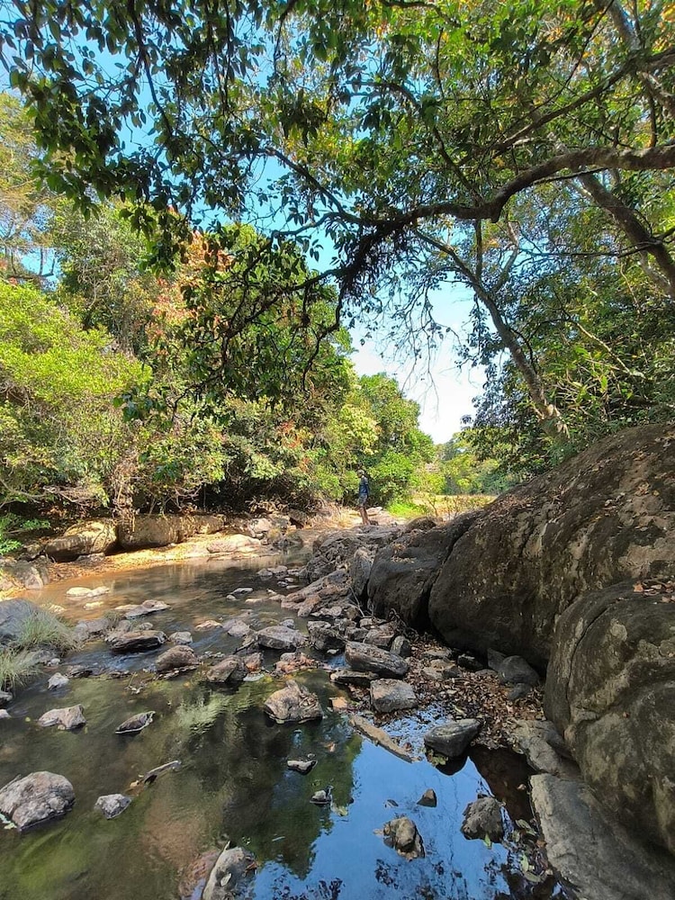 KaatiKaadu