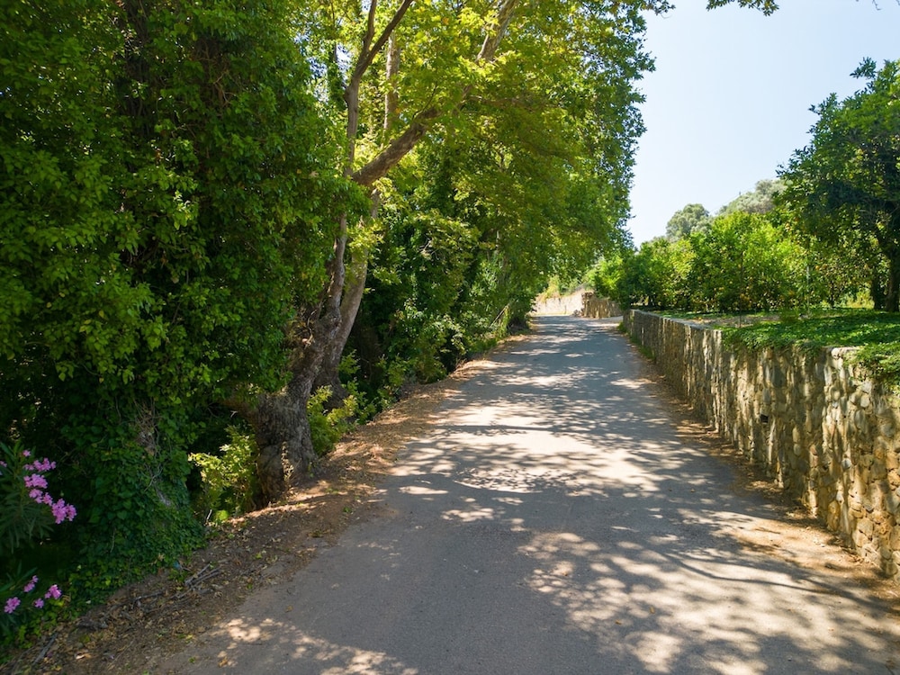 Villa Emily in Countryside