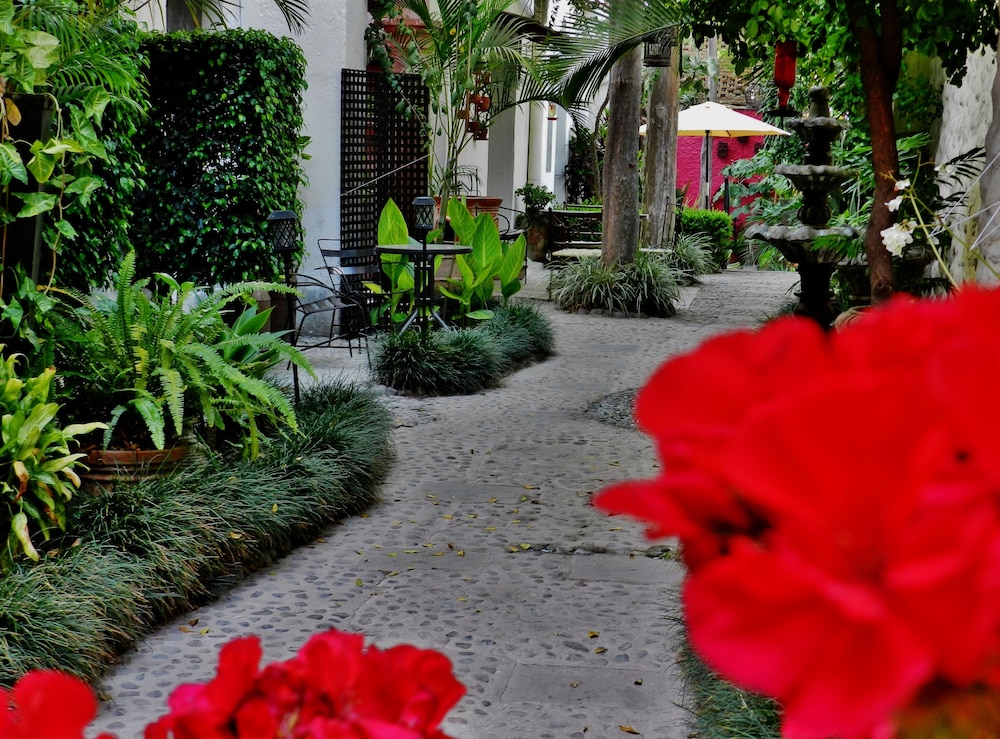 Hotel Rosa Morada