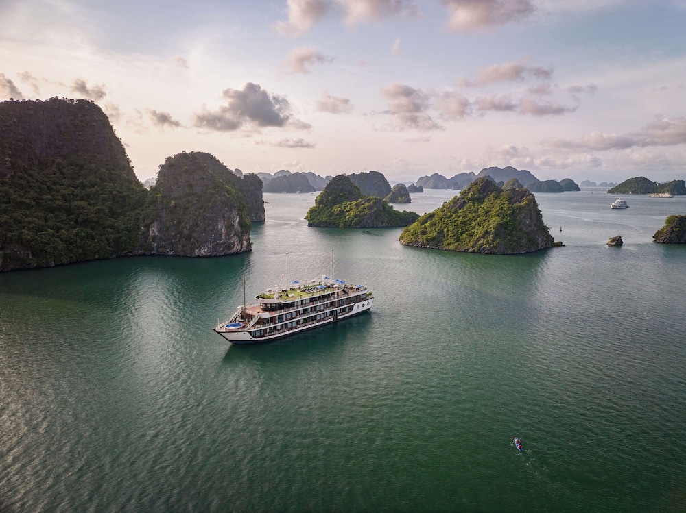 Rosa Boutique Cruise