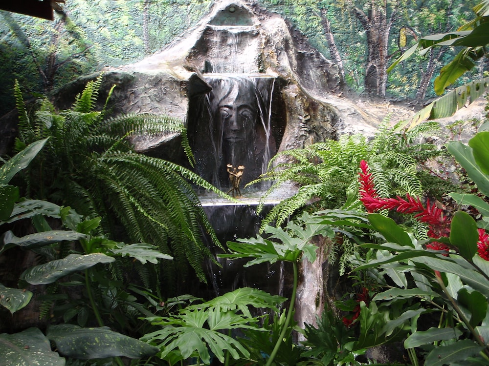 Casa Lima Bed Breakfast - Property Image 78