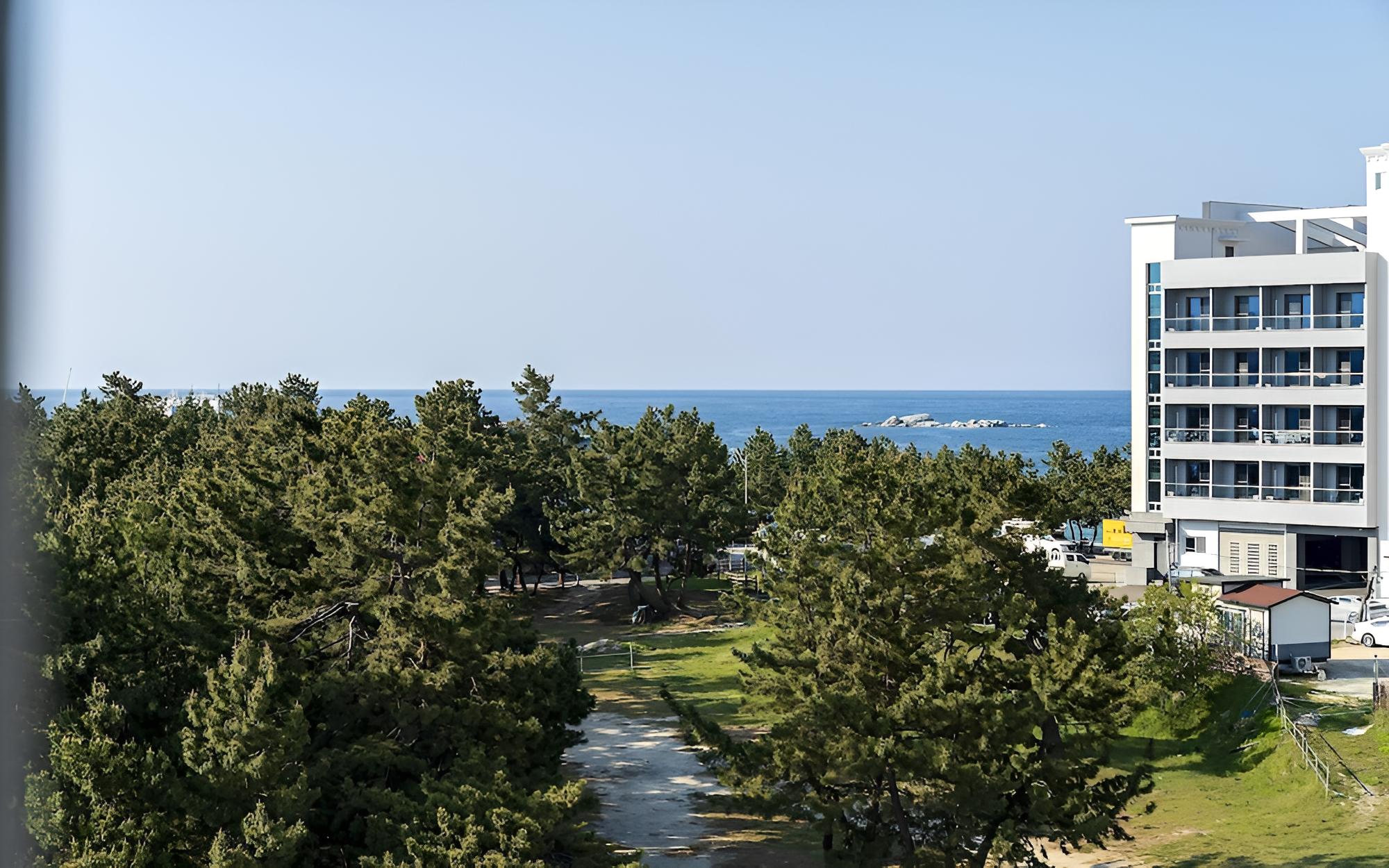 Gangneung Gyeongpodae Swan view 4