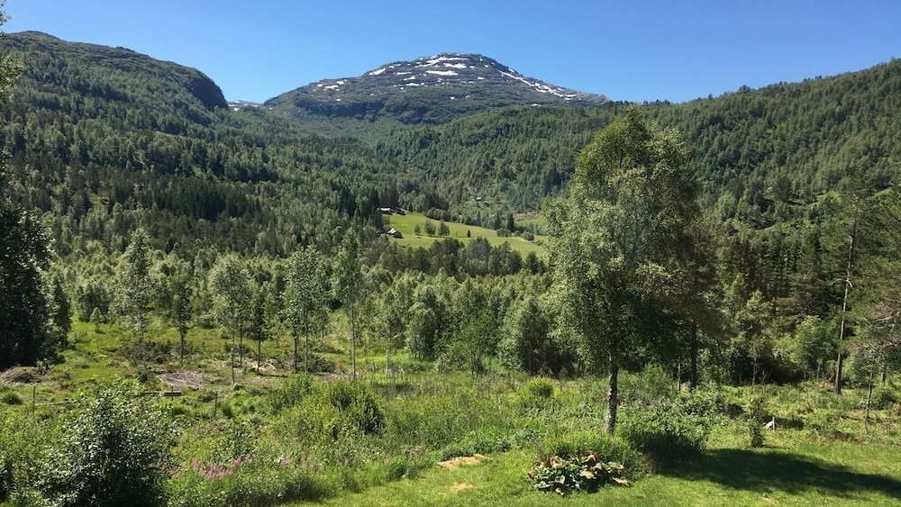 Voss fjellstove Rongastovo