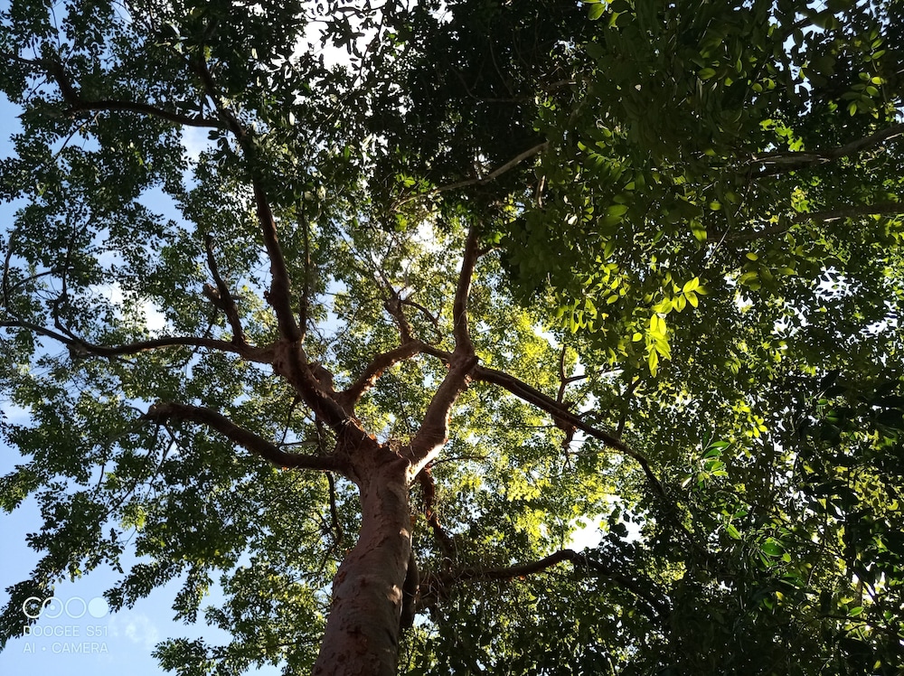 Cozumel Glamping