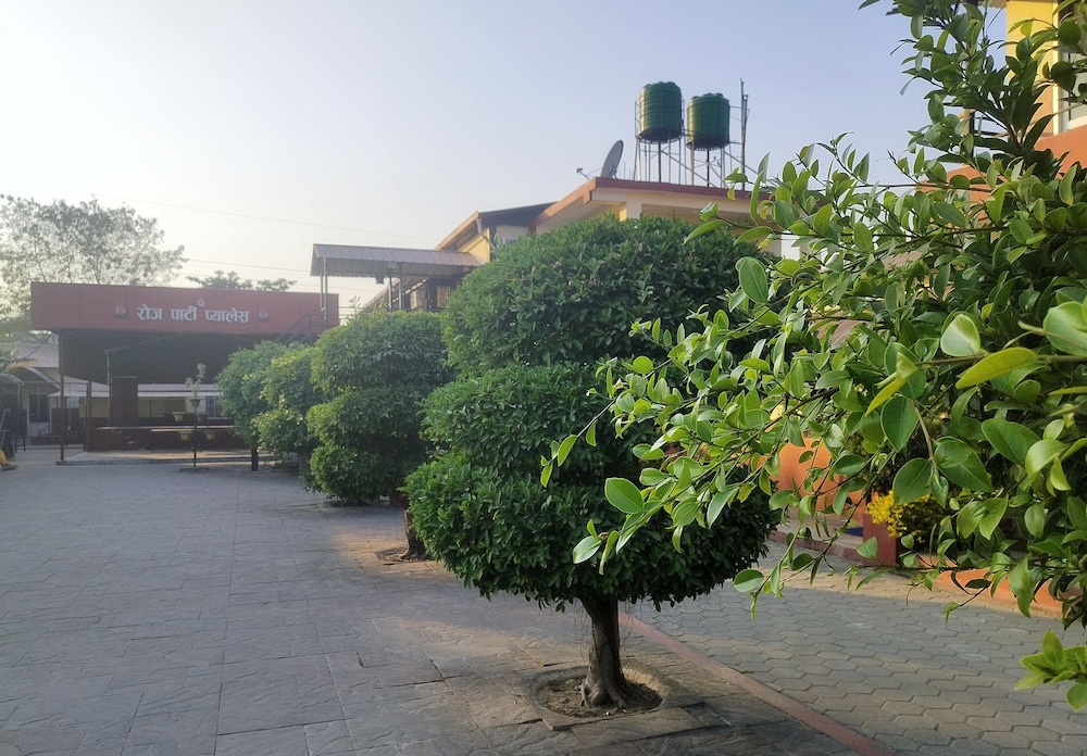 Rose guest house view 2