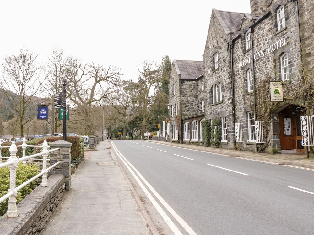 Bron Celyn Bach