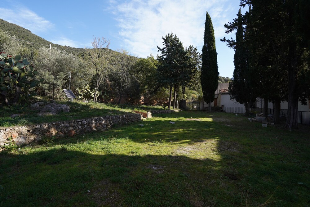 Photo 47