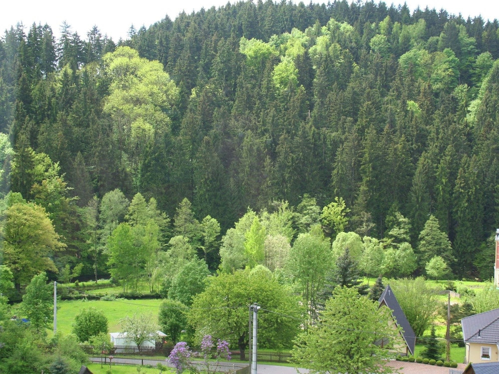 Alluring Villa in Grunhainichen-borstendorf With Garden