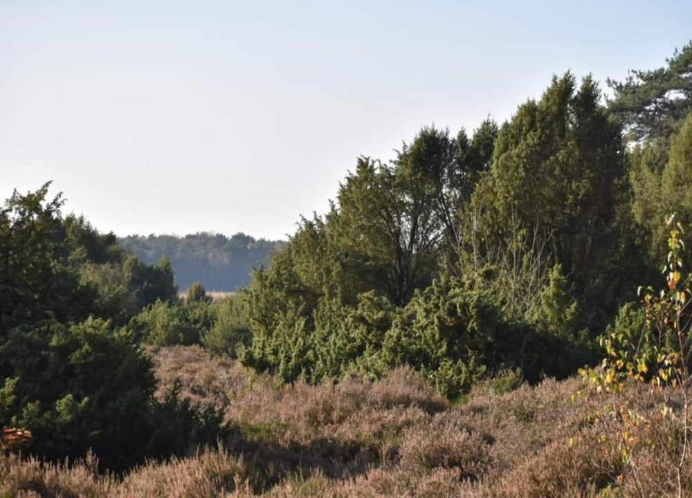 Stay at This Beautiful Accommodation in De Kiel