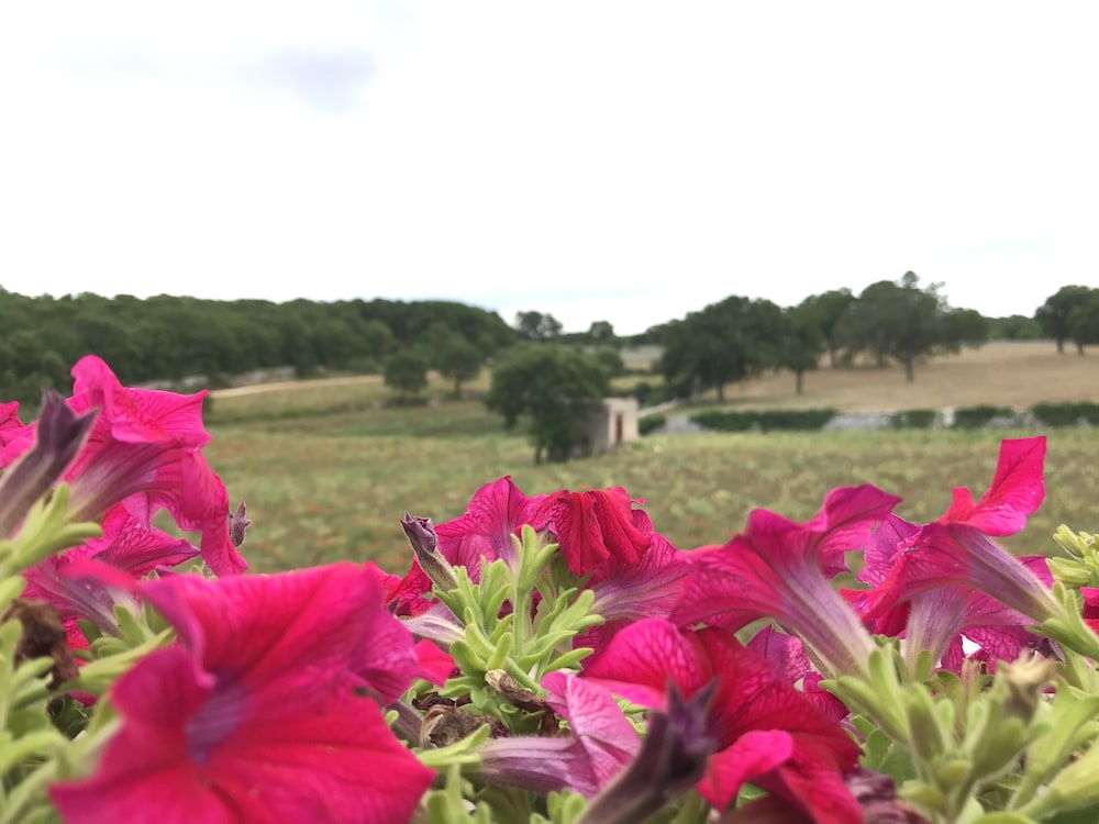 Aria di Casa Country Resort