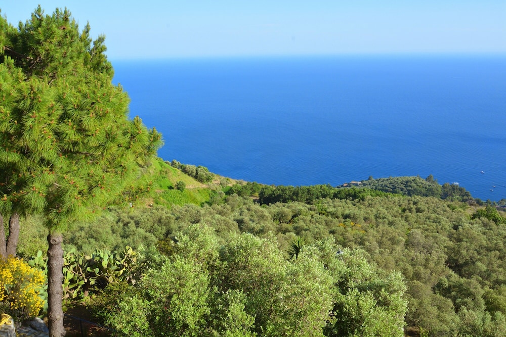 Neranya