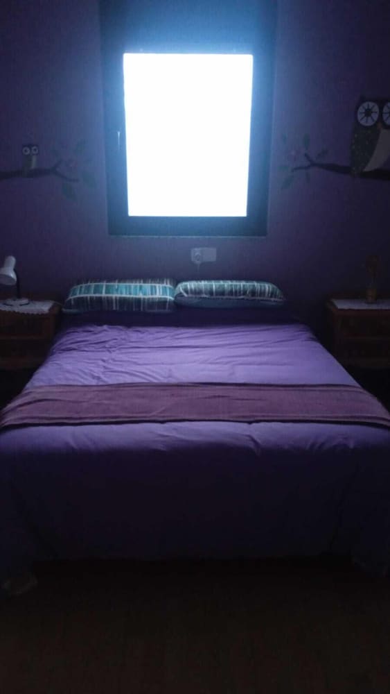Albergue Vieira - Hostel photo 4