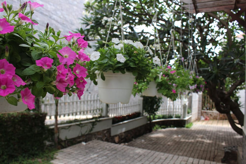 Des Ami Villa