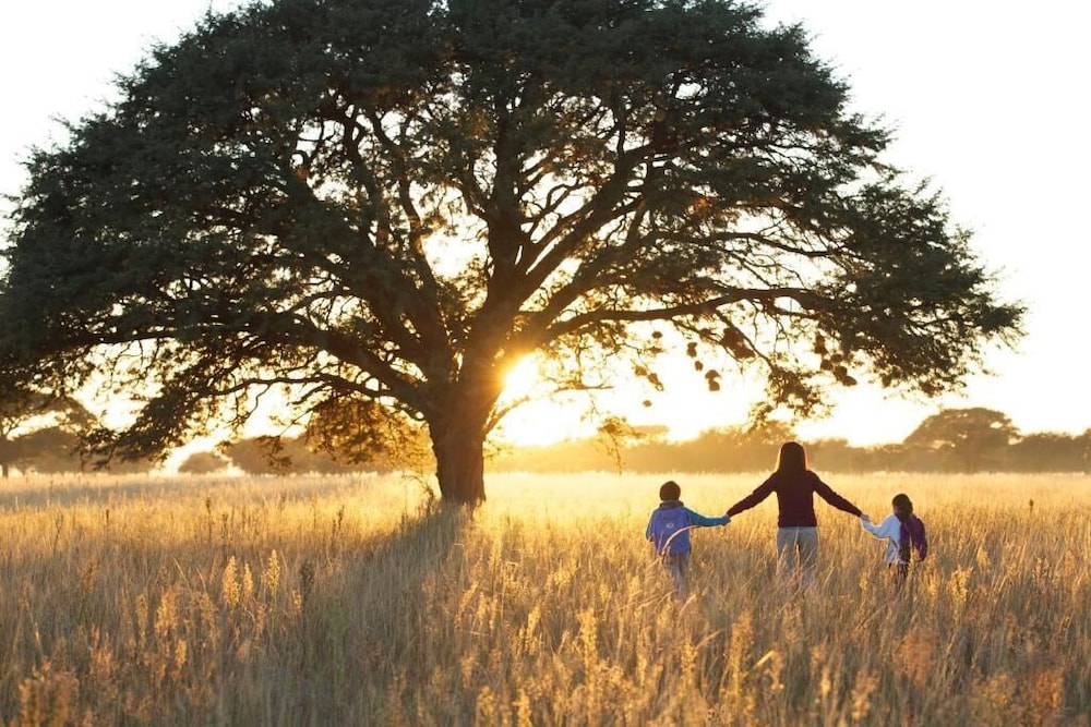 Denver Vacations - DIA Layover - Property Image 1