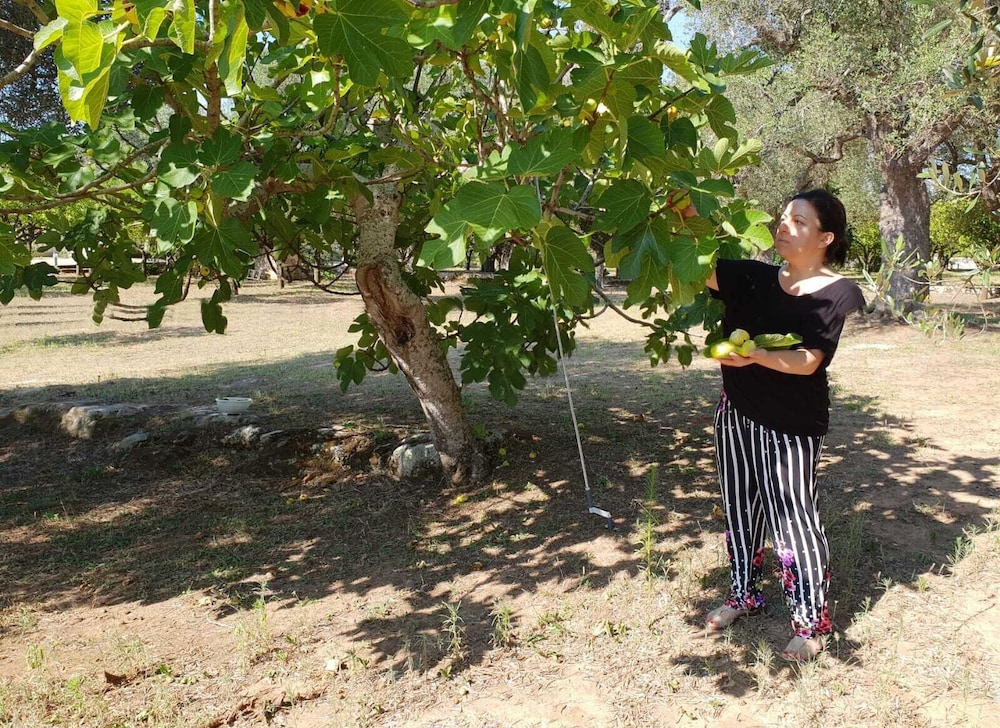 Agriturismo Villa Coluccia