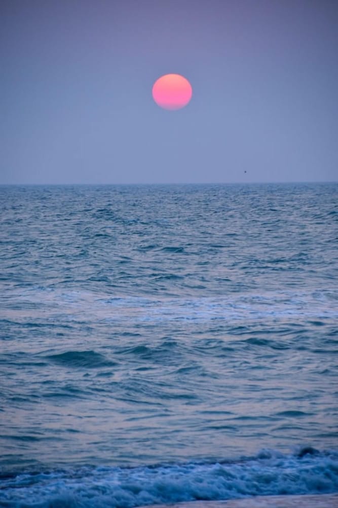 Photo 38