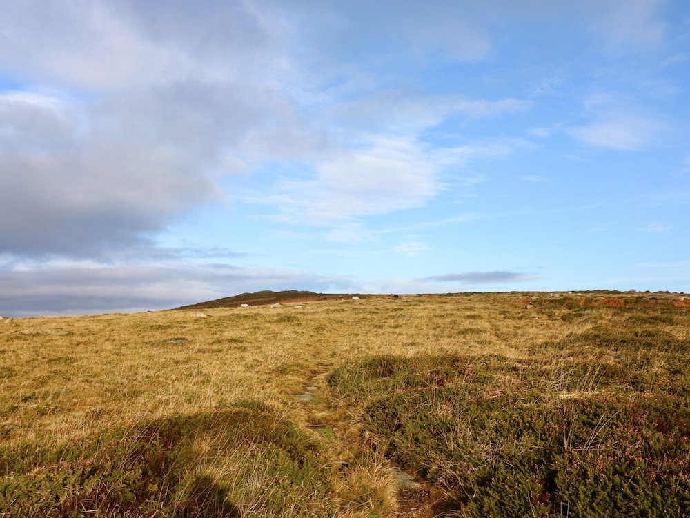 Yelverton Vacations - Brimpts Cottage - Property Image 11