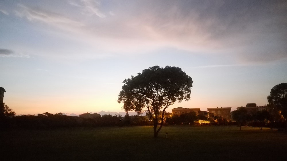 Oak Garden