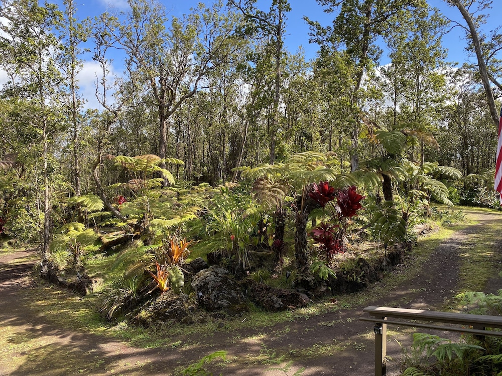 Volcano Rainforest Lodge