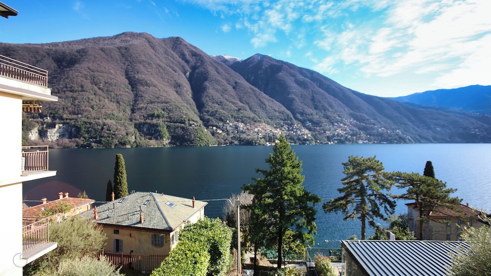 Regina Nuova 13