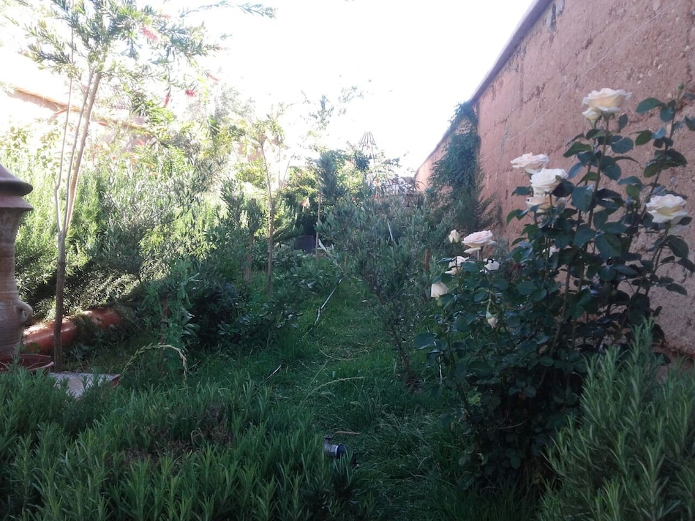 Auberge Toda