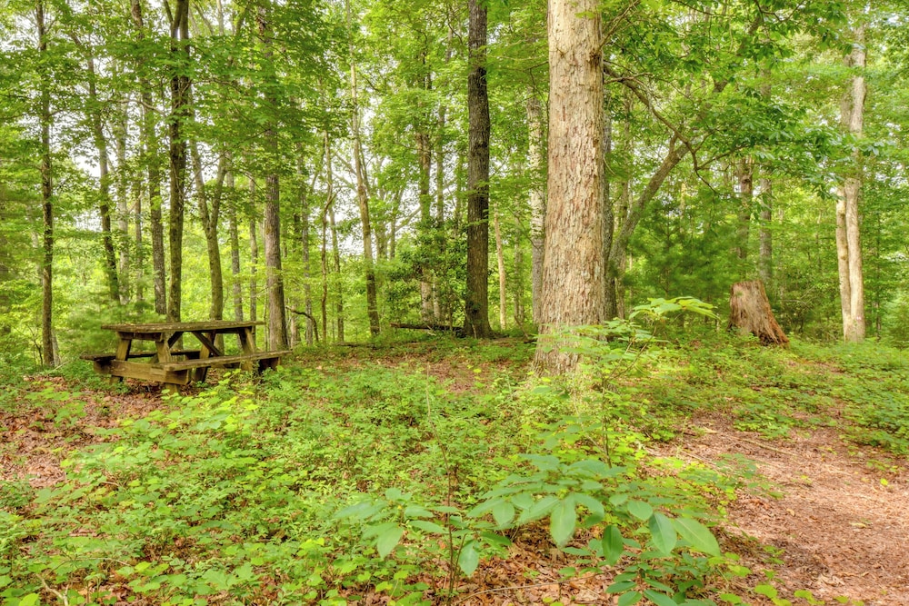 6 Miles to Helen: Cabin w/ Hot Tub & Views!